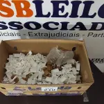 01 LOTE COM GRANDE QUANTIDADE DE CANTONEIRAS DE PLÁSTICO. (NO ESTADO) ATENÇÃO! FAZER A VISITAÇÃO ANTES DE ARREMATAR, NÃO SABEMOS SE FUNCIONA, LEILÃO NÃO TEM GARANTIA E NEM DEVOLUÇÃO, SUJEITO A POSSÍVEIS AVARIAS VISÍVEIS/OCULTAS E/OU AUSÊNCIA DE COMPONENTES.