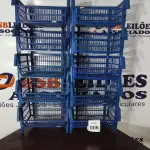 LOTE 006 - 10 CESTAS ORGANIZADORAS NA COR AZUL. (NO ESTADO) ATENÇÃO! FAZER A VISITAÇÃO ANTES DE ARREMATAR, NÃO SABEMOS SE FUNCIONA, LEILÃO NÃO TEM GARANTIA E NEM DEVOLUÇÃO, SUJEITO A POSSÍVEIS AVARIAS VISÍVEIS/OCULTAS E/OU AUSÊNCIA DE COMPONENTES.