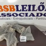 24 PEÇAS DE MÃO FRANCESA DE PLÁSTICO. (NO ESTADO) ATENÇÃO! FAZER A VISITAÇÃO ANTES DE ARREMATAR, NÃO SABEMOS SE FUNCIONA, LEILÃO NÃO TEM GARANTIA E NEM DEVOLUÇÃO, SUJEITO A POSSÍVEIS AVARIAS VISÍVEIS/OCULTAS E/OU AUSÊNCIA DE COMPONENTES.