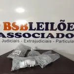 LOTE 213 - 01 LOTE COM GRANDE QUANTIDADE DE ESTICADORES. (NO ESTADO) ATENÇÃO! FAZER A VISITAÇÃO ANTES DE ARREMATAR, NÃO SABEMOS SE FUNCIONA, LEILÃO NÃO TEM GARANTIA E NEM DEVOLUÇÃO, SUJEITO A POSSÍVEIS AVARIAS VISÍVEIS/OCULTAS E/OU AUSÊNCIA DE COMPONENTES.
