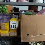 LOTE 227 - 08 PACOTES DE SERRAGEM PRENSADA MARCA POWER PETS E 01 GAIOLA DE HAMSTER E 01 CAIXA COM GRANDE VARIEDADE DE RODAS PARA HAMSTER.  (NO ESTADO) ATENÇÃO! FAZER A VISITAÇÃO ANTES DE ARREMATAR, NÃO SABEMOS SE FUNCIONA, LEILÃO NÃO TEM GARANTIA E NEM DEVOLUÇÃO, SUJEITO A POSSÍVEIS AVARIAS VISÍVEIS/OCULTAS E/OU AUSÊNCIA DE COMPONENTES.