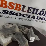 24 PEÇAS DE MÃO FRANCESA DE PLÁSTICO. (NO ESTADO) ATENÇÃO! FAZER A VISITAÇÃO ANTES DE ARREMATAR, NÃO SABEMOS SE FUNCIONA, LEILÃO NÃO TEM GARANTIA E NEM DEVOLUÇÃO, SUJEITO A POSSÍVEIS AVARIAS VISÍVEIS/OCULTAS E/OU AUSÊNCIA DE COMPONENTES.