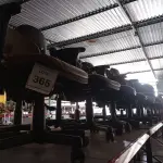 LOTE 365 - 06 CADEIRAS DE ESCRITÓRIO GIRATÓRIAS. (NO ESTADO) ATENÇÃO! FAZER A VISITAÇÃO ANTES DE ARREMATAR, NÃO SABEMOS SE FUNCIONA. LEILÃO NÃO TEM GARANTIA E NEM DEVOLUÇÃO, SUJEITO A POSSÍVEIS AVARIAS VISÍVEIS/OCULTAS E/OU AUSÊNCIA DE COMPONENTES.