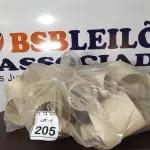 01 LOTE COM CONEXÕES HIDRÁULICAS MEDIDAS DIVERSAS. (NO ESTADO) ATENÇÃO! FAZER A VISITAÇÃO ANTES DE ARREMATAR, NÃO SABEMOS SE FUNCIONA, LEILÃO NÃO TEM GARANTIA E NEM DEVOLUÇÃO, SUJEITO A POSSÍVEIS AVARIAS VISÍVEIS/OCULTAS E/OU AUSÊNCIA DE COMPONENTES.