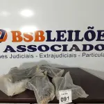 24 PEÇAS DE MÃO FRANCESA DE PLÁSTICO. (NO ESTADO) ATENÇÃO! FAZER A VISITAÇÃO ANTES DE ARREMATAR, NÃO SABEMOS SE FUNCIONA, LEILÃO NÃO TEM GARANTIA E NEM DEVOLUÇÃO, SUJEITO A POSSÍVEIS AVARIAS VISÍVEIS/OCULTAS E/OU AUSÊNCIA DE COMPONENTES.