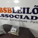 01 LOTE COM GRANDE QUANTIDADE DE PARAFUSOS. (NO ESTADO) ATENÇÃO! FAZER A VISITAÇÃO ANTES DE ARREMATAR, NÃO SABEMOS SE FUNCIONA, LEILÃO NÃO TEM GARANTIA E NEM DEVOLUÇÃO, SUJEITO A POSSÍVEIS AVARIAS VISÍVEIS/OCULTAS E/OU AUSÊNCIA DE COMPONENTES.