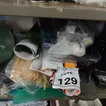 01 LOTE COM 03 FURADORES DE PAPEL E MATERIAIS DIVERSOS PARA ESCRITÓRIO. (NO ESTADO) ATENÇÃO! FAZER A VISITAÇÃO ANTES DE ARREMATAR, NÃO SABEMOS SE FUNCIONA, LEILÃO NÃO TEM GARANTIA E NEM DEVOLUÇÃO, SUJEITO A POSSÍVEIS AVARIAS VISÍVEIS/OCULTAS E/OU AUSÊNCIA DE COMPONENTES.