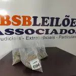LOTE 096 - 01 LOTE COM GRANDE QUANTIDADE DE PARAFUSOS. (NO ESTADO) ATENÇÃO! FAZER A VISITAÇÃO ANTES DE ARREMATAR, NÃO SABEMOS SE FUNCIONA, LEILÃO NÃO TEM GARANTIA E NEM DEVOLUÇÃO, SUJEITO A POSSÍVEIS AVARIAS VISÍVEIS/OCULTAS E/OU AUSÊNCIA DE COMPONENTES.