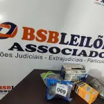 05 LUMINÁRIAS TARTARUGAS DE TAMANHOS DIVERSOS. (NO ESTADO) ATENÇÃO! FAZER A VISITAÇÃO ANTES DE ARREMATAR, NÃO SABEMOS SE FUNCIONA, LEILÃO NÃO TEM GARANTIA E NEM DEVOLUÇÃO, SUJEITO A POSSÍVEIS AVARIAS VISÍVEIS/OCULTAS E/OU AUSÊNCIA DE COMPONENTES.