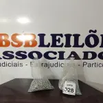 LOTE 028 - 01 LOTE COM GRANDE QUANTIDADE DE PARAFUSOS. (NO ESTADO) ATENÇÃO! FAZER A VISITAÇÃO ANTES DE ARREMATAR, NÃO SABEMOS SE FUNCIONA, LEILÃO NÃO TEM GARANTIA E NEM DEVOLUÇÃO, SUJEITO A POSSÍVEIS AVARIAS VISÍVEIS/OCULTAS E/OU AUSÊNCIA DE COMPONENTES.