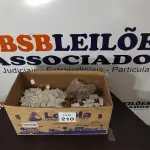 01 LOTE COM GRANDE QUANTIDADE DE CANTONEIRAS DE PLÁSTICO. (NO ESTADO) ATENÇÃO! FAZER A VISITAÇÃO ANTES DE ARREMATAR, NÃO SABEMOS SE FUNCIONA, LEILÃO NÃO TEM GARANTIA E NEM DEVOLUÇÃO, SUJEITO A POSSÍVEIS AVARIAS VISÍVEIS/OCULTAS E/OU AUSÊNCIA DE COMPONENTES.