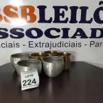 LOTE 224 - 06 CACHEPOT DE ALUMÍNIO. (NO ESTADO) ATENÇÃO! FAZER A VISITAÇÃO ANTES DE ARREMATAR, NÃO SABEMOS SE FUNCIONA, LEILÃO NÃO TEM GARANTIA E NEM DEVOLUÇÃO, SUJEITO A POSSÍVEIS AVARIAS VISÍVEIS/OCULTAS E/OU AUSÊNCIA DE COMPONENTES.