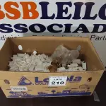01 LOTE COM GRANDE QUANTIDADE DE CANTONEIRAS DE PLÁSTICO. (NO ESTADO) ATENÇÃO! FAZER A VISITAÇÃO ANTES DE ARREMATAR, NÃO SABEMOS SE FUNCIONA, LEILÃO NÃO TEM GARANTIA E NEM DEVOLUÇÃO, SUJEITO A POSSÍVEIS AVARIAS VISÍVEIS/OCULTAS E/OU AUSÊNCIA DE COMPONENTES.