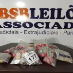 LOTE 177 - 01 LOTE COM GRANDE QUANTIDADE DE PARAFUSOS AUTOBROCANTES E ACESSÓRIOS DIVERSOS. (NO ESTADO) ATENÇÃO! FAZER A VISITAÇÃO ANTES DE ARREMATAR, NÃO SABEMOS SE FUNCIONA, LEILÃO NÃO TEM GARANTIA E NEM DEVOLUÇÃO, SUJEITO A POSSÍVEIS AVARIAS VISÍVEIS/OCULTAS E/OU AUSÊNCIA DE COMPONENTES.