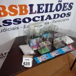 LOTE 435 - 09 AQUÁRIOS TAMANHOS DIVERSOS, 04 PACOTES DE RAÇÃO PARA PEIXE E 04 ALMOFADAS PARA AQUÁRIOS TAMANHOS VARIADOS. (NO ESTADO) ATENÇÃO! FAZER A VISITAÇÃO ANTES DE ARREMATAR, NÃO SABEMOS SE FUNCIONA, LEILÃO NÃO TEM GARANTIA E NEM DEVOLUÇÃO, SUJEITO A POSSÍVEIS AVARIAS VISÍVEIS/OCULTAS E/OU AUSÊNCIA DE COMPONENTES.