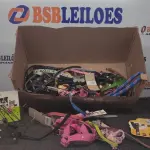 LOTE 523 - 01 LOTE COM DIVERSAS COLEIRAS E FOCINHEIRAS PARA CACHORROS. (NO ESTADO) ATENÇÃO! FAZER A VISITAÇÃO ANTES DE ARREMATAR, NÃO SABEMOS SE FUNCIONA, LEILÃO NÃO TEM GARANTIA E NEM DEVOLUÇÃO, SUJEITO A POSSÍVEIS AVARIAS VISÍVEIS/OCULTAS E/OU AUSÊNCIA DE COMPONENTES.