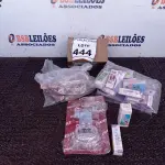 LOTE 444 - 03 CREMONAS LISA E VÁRIAS LÂMPADAS PEQUENAS SOLARES. (NO ESTADO) ATENÇÃO! FAZER A VISITAÇÃO ANTES DE ARREMATAR, NÃO SABEMOS SE FUNCIONA, LEILÃO NÃO TEM GARANTIA E NEM DEVOLUÇÃO, SUJEITO A POSSÍVEIS AVARIAS VISÍVEIS/OCULTAS E/OU AUSÊNCIA DE COMPONENTES.