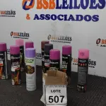 LOTE 507 - 10 TINTAS SPRAY DE CORES DIVERSAS. (NO ESTADO) ATENÇÃO! FAZER A VISITAÇÃO ANTES DE ARREMATAR, NÃO SABEMOS SE FUNCIONA, LEILÃO NÃO TEM GARANTIA E NEM DEVOLUÇÃO, SUJEITO A POSSÍVEIS AVARIAS VISÍVEIS/OCULTAS E/OU AUSÊNCIA DE COMPONENTES.