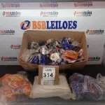 LOTE 314 - 01 LOTE COM DIVERSOS MATÉRIAS PARA ASSENTAMENTO DE PISO, PALHAS DE AÇO, ADAPTARES DE TOMADA E FIBRA DE VIDRO. (NO ESTADO) ATENÇÃO! FAZER A VISITAÇÃO ANTES DE ARREMATAR, NÃO SABEMOS SE FUNCIONA, LEILÃO NÃO TEM GARANTIA E NEM DEVOLUÇÃO, SUJEITO A POSSÍVEIS AVARIAS VISÍVEIS/OCULTAS E/OU AUSÊNCIA DE COMPONENTES.