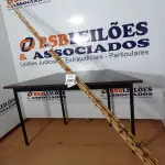 10 VARAS DE BAMBU. (NO ESTADO) ATENÇÃO! FAZER A VISITAÇÃO ANTES DE ARREMATAR, NÃO SABEMOS SE FUNCIONA, LEILÃO NÃO TEM GARANTIA E NEM DEVOLUÇÃO, SUJEITO A POSSÍVEIS AVARIAS VISÍVEIS/OCULTAS E/OU AUSÊNCIA DE COMPONENTES.