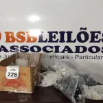 01 LOTE COM GRANDE QUANTIDADE DE BUCHAS DE FIXAÇÃO E ISOLADORES TIPO ROLDANA. (NO ESTADO) ATENÇÃO! FAZER A VISITAÇÃO ANTES DE ARREMATAR, NÃO SABEMOS SE FUNCIONA, LEILÃO NÃO TEM GARANTIA E NEM DEVOLUÇÃO, SUJEITO A POSSÍVEIS AVARIAS VISÍVEIS/OCULTAS E/OU AUSÊNCIA DE COMPONENTES.
