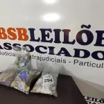 01 LOTE COM DIVERSOS MATERIAIS HIDRÁULICOS. (NO ESTADO) ATENÇÃO! FAZER A VISITAÇÃO ANTES DE ARREMATAR, NÃO SABEMOS SE FUNCIONA, LEILÃO NÃO TEM GARANTIA E NEM DEVOLUÇÃO, SUJEITO A POSSÍVEIS AVARIAS VISÍVEIS/OCULTAS E/OU AUSÊNCIA DE COMPONENTES.