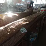 LOTE 311 - 01 TAPETE SISAL 3M X 4M. (NO ESTADO) ATENÇÃO! FAZER A VISITAÇÃO ANTES DE ARREMATAR, NÃO SABEMOS SE FUNCIONA, LEILÃO NÃO TEM GARANTIA E NEM DEVOLUÇÃO, SUJEITO A POSSÍVEIS AVARIAS VISÍVEIS/OCULTAS E/OU AUSÊNCIA DE COMPONENTES.