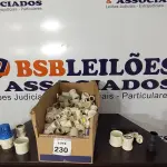 LOTE 230 - 01 LOTE COM GRANDE QUANTIDADE DE CONEXÕES HIDRÁULICAS DE MEDIDA DIVERSAS. (NO ESTADO) ATENÇÃO! FAZER A VISITAÇÃO ANTES DE ARREMATAR, NÃO SABEMOS SE FUNCIONA, LEILÃO NÃO TEM GARANTIA E NEM DEVOLUÇÃO, SUJEITO A POSSÍVEIS AVARIAS VISÍVEIS/OCULTAS E/OU AUSÊNCIA DE COMPONENTES.