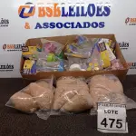 LOTE 475 - 01 LOTE COM GRANDE QUANTIDADE DE ALPISTES E BEBEDOUROS PARA AVES MODELOS DIVERSOS. (NO ESTADO) ATENÇÃO! FAZER A VISITAÇÃO ANTES DE ARREMATAR, NÃO SABEMOS SE FUNCIONA, LEILÃO NÃO TEM GARANTIA E NEM DEVOLUÇÃO, SUJEITO A POSSÍVEIS AVARIAS VISÍVEIS/OCULTAS E/OU AUSÊNCIA DE COMPONENTES.