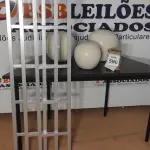 LOTE 590 - 03 GRADES DE FERRO E 03 VASOS DECORATIVOS.  (NO ESTADO) ATENÇÃO! FAZER A VISITAÇÃO ANTES DE ARREMATAR, NÃO SABEMOS SE FUNCIONA, LEILÃO NÃO TEM GARANTIA E NEM DEVOLUÇÃO, SUJEITO A POSSÍVEIS AVARIAS VISÍVEIS/OCULTAS E/OU AUSÊNCIA DE COMPONENTES.