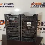 LOTE 120 - 10 CESTAS ORGANIZADORAS. (NO ESTADO) ATENÇÃO! FAZER A VISITAÇÃO ANTES DE ARREMATAR, NÃO SABEMOS SE FUNCIONA, LEILÃO NÃO TEM GARANTIA E NEM DEVOLUÇÃO, SUJEITO A POSSÍVEIS AVARIAS VISÍVEIS/OCULTAS E/OU AUSÊNCIA DE COMPONENTES.