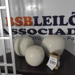 LOTE 590 - 03 GRADES DE FERRO E 03 VASOS DECORATIVOS.  (NO ESTADO) ATENÇÃO! FAZER A VISITAÇÃO ANTES DE ARREMATAR, NÃO SABEMOS SE FUNCIONA, LEILÃO NÃO TEM GARANTIA E NEM DEVOLUÇÃO, SUJEITO A POSSÍVEIS AVARIAS VISÍVEIS/OCULTAS E/OU AUSÊNCIA DE COMPONENTES.