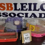 LOTE 071 - 04 GAIOLAS PARA HAMSTER. (NO ESTADO) ATENÇÃO! FAZER A VISITAÇÃO ANTES DE ARREMATAR, NÃO SABEMOS SE FUNCIONA, LEILÃO NÃO TEM GARANTIA E NEM DEVOLUÇÃO, SUJEITO A POSSÍVEIS AVARIAS VISÍVEIS/OCULTAS E/OU AUSÊNCIA DE COMPONENTES.