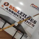 05 VARAS DE BAMBU. (NO ESTADO) ATENÇÃO! FAZER A VISITAÇÃO ANTES DE ARREMATAR, NÃO SABEMOS SE FUNCIONA, LEILÃO NÃO TEM GARANTIA E NEM DEVOLUÇÃO, SUJEITO A POSSÍVEIS AVARIAS VISÍVEIS/OCULTAS E/OU AUSÊNCIA DE COMPONENTES.