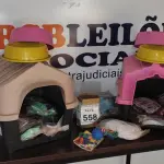 LOTE 558 - 01 LOTE COM 02 CASINHAS PARA PETS, ROUPAS, VASILHAS E ITENS DIVERSOS. (NO ESTADO) ATENÇÃO! FAZER A VISITAÇÃO ANTES DE ARREMATAR, NÃO SABEMOS SE FUNCIONA, LEILÃO NÃO TEM GARANTIA E NEM DEVOLUÇÃO, SUJEITO A POSSÍVEIS AVARIAS VISÍVEIS/OCULTAS E/OU AUSÊNCIA DE COMPONENTES.