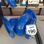 LOTE 190 - 01 FILTRO TIPO Y. (NO ESTADO) ATENÇÃO! FAZER A VISITAÇÃO ANTES DE ARREMATAR, NÃO SABEMOS SE FUNCIONA, LEILÃO NÃO TEM GARANTIA E NEM DEVOLUÇÃO, SUJEITO A POSSÍVEIS AVARIAS VISÍVEIS/OCULTAS E/OU AUSÊNCIA DE COMPONENTES.
