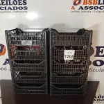 LOTE 120 - 10 CESTAS ORGANIZADORAS. (NO ESTADO) ATENÇÃO! FAZER A VISITAÇÃO ANTES DE ARREMATAR, NÃO SABEMOS SE FUNCIONA, LEILÃO NÃO TEM GARANTIA E NEM DEVOLUÇÃO, SUJEITO A POSSÍVEIS AVARIAS VISÍVEIS/OCULTAS E/OU AUSÊNCIA DE COMPONENTES.