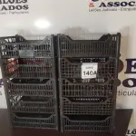 LOTE 140 - 10 CESTAS ORGANIZADORAS. (NO ESTADO) ATENÇÃO! FAZER A VISITAÇÃO ANTES DE ARREMATAR, NÃO SABEMOS SE FUNCIONA, LEILÃO NÃO TEM GARANTIA E NEM DEVOLUÇÃO, SUJEITO A POSSÍVEIS AVARIAS VISÍVEIS/OCULTAS E/OU AUSÊNCIA DE COMPONENTES.