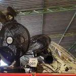 LOTE 003 - 05 VENTILADORES MARCAS E MODELOS DIVERSOS. (NO ESTADO) ATENÇÃO! FAZER A VISITAÇÃO ANTES DE ARREMATAR, NÃO SABEMOS SE FUNCIONA, LEILÃO NÃO TEM GARANTIA E NEM DEVOLUÇÃO, SUJEITO A POSSÍVEIS AVARIAS VISÍVEIS/OCULTAS E/OU AUSÊNCIA DE COMPONENTES.