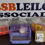 LOTE 071 - 04 GAIOLAS PARA HAMSTER. (NO ESTADO) ATENÇÃO! FAZER A VISITAÇÃO ANTES DE ARREMATAR, NÃO SABEMOS SE FUNCIONA, LEILÃO NÃO TEM GARANTIA E NEM DEVOLUÇÃO, SUJEITO A POSSÍVEIS AVARIAS VISÍVEIS/OCULTAS E/OU AUSÊNCIA DE COMPONENTES.