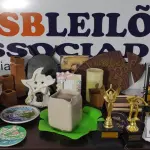 01 LOTE COM GRANDE QUANTIDADE DE MATERIAIS DECORATIVOS DIVERSOS.  (NO ESTADO) ATENÇÃO! FAZER A VISITAÇÃO ANTES DE ARREMATAR, NÃO SABEMOS SE FUNCIONA, LEILÃO NÃO TEM GARANTIA E NEM DEVOLUÇÃO, SUJEITO A POSSÍVEIS AVARIAS VISÍVEIS/OCULTAS E/OU AUSÊNCIA DE COMPONENTES.