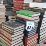 LOTE 581 - 01 LOTE COM GRANDE QUANTIDADE DE ENCICLOPÉDIAS, DICIONÁRIO E LIVROS DIDÁTICOS.  (NO ESTADO) ATENÇÃO! FAZER A VISITAÇÃO ANTES DE ARREMATAR, NÃO SABEMOS SE FUNCIONA, LEILÃO NÃO TEM GARANTIA E NEM DEVOLUÇÃO, SUJEITO A POSSÍVEIS AVARIAS VISÍVEIS/OCULTAS E/OU AUSÊNCIA DE COMPONENTES.