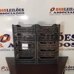 LOTE 080 - 10 CESTAS ORGANIZADORAS. (NO ESTADO) ATENÇÃO! FAZER A VISITAÇÃO ANTES DE ARREMATAR, NÃO SABEMOS SE FUNCIONA, LEILÃO NÃO TEM GARANTIA E NEM DEVOLUÇÃO, SUJEITO A POSSÍVEIS AVARIAS VISÍVEIS/OCULTAS E/OU AUSÊNCIA DE COMPONENTES.