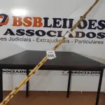 05 VARAS DE BAMBU. (NO ESTADO) ATENÇÃO! FAZER A VISITAÇÃO ANTES DE ARREMATAR, NÃO SABEMOS SE FUNCIONA, LEILÃO NÃO TEM GARANTIA E NEM DEVOLUÇÃO, SUJEITO A POSSÍVEIS AVARIAS VISÍVEIS/OCULTAS E/OU AUSÊNCIA DE COMPONENTES.