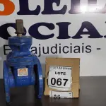 LOTE 067 - 01 VÁLVULA GLOBO. (NO ESTADO) ATENÇÃO! FAZER A VISITAÇÃO ANTES DE ARREMATAR, NÃO SABEMOS SE FUNCIONA, LEILÃO NÃO TEM GARANTIA E NEM DEVOLUÇÃO, SUJEITO A POSSÍVEIS AVARIAS VISÍVEIS/OCULTAS E/OU AUSÊNCIA DE COMPONENTES.