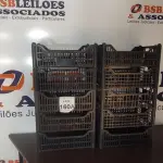10 CESTAS ORGANIZADORAS. (NO ESTADO) ATENÇÃO! FAZER A VISITAÇÃO ANTES DE ARREMATAR, NÃO SABEMOS SE FUNCIONA, LEILÃO NÃO TEM GARANTIA E NEM DEVOLUÇÃO, SUJEITO A POSSÍVEIS AVARIAS VISÍVEIS/OCULTAS E/OU AUSÊNCIA DE COMPONENTES.