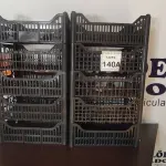 LOTE 140 - 10 CESTAS ORGANIZADORAS. (NO ESTADO) ATENÇÃO! FAZER A VISITAÇÃO ANTES DE ARREMATAR, NÃO SABEMOS SE FUNCIONA, LEILÃO NÃO TEM GARANTIA E NEM DEVOLUÇÃO, SUJEITO A POSSÍVEIS AVARIAS VISÍVEIS/OCULTAS E/OU AUSÊNCIA DE COMPONENTES.