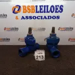 LOTE 213 - 02 VÁLVULAS GLOBO. (NO ESTADO) ATENÇÃO! FAZER A VISITAÇÃO ANTES DE ARREMATAR, NÃO SABEMOS SE FUNCIONA, LEILÃO NÃO TEM GARANTIA E NEM DEVOLUÇÃO, SUJEITO A POSSÍVEIS AVARIAS VISÍVEIS/OCULTAS E/OU AUSÊNCIA DE COMPONENTES.