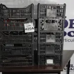 LOTE 420 - 10 CESTAS ORGANIZADORAS. (NO ESTADO) ATENÇÃO! FAZER A VISITAÇÃO ANTES DE ARREMATAR, NÃO SABEMOS SE FUNCIONA, LEILÃO NÃO TEM GARANTIA E NEM DEVOLUÇÃO, SUJEITO A POSSÍVEIS AVARIAS VISÍVEIS/OCULTAS E/OU AUSÊNCIA DE COMPONENTES.