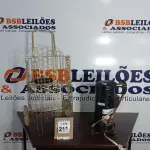 LOTE 211 - 01 COMPRESSOR PARA AR CONDICIONADO E 01 CARRINHO DE FEIRA. (NO ESTADO) ATENÇÃO! FAZER A VISITAÇÃO ANTES DE ARREMATAR, NÃO SABEMOS SE FUNCIONA, LEILÃO NÃO TEM GARANTIA E NEM DEVOLUÇÃO, SUJEITO A POSSÍVEIS AVARIAS VISÍVEIS/OCULTAS E/OU AUSÊNCIA DE COMPONENTES.